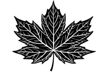 Beautiful shiloutte leaf for USA Designer © Alina