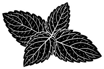 Beautiful shiloutte leaf for USA Designer © Alina