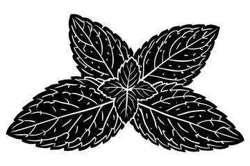 Beautiful shiloutte leaf for USA Designer © Alina