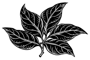 Beautiful shiloutte leaf for USA Designer © Alina