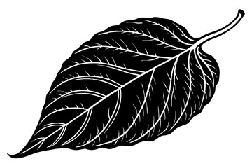 Beautiful shiloutte leaf for USA Designer © Alina