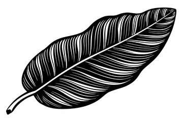 Beautiful shiloutte leaf for USA Designer © Alina