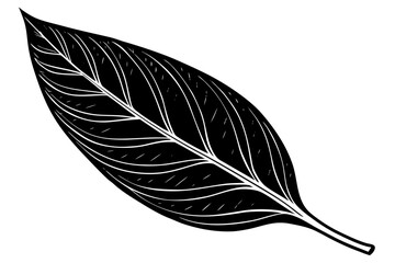 Beautiful shiloutte leaf for USA Designer © Alina