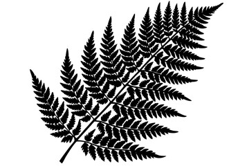 Beautiful shiloutte leaf for USA Designer © Alina