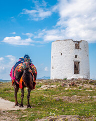 Aegean style old windmills in Bodrum Town of Turkey