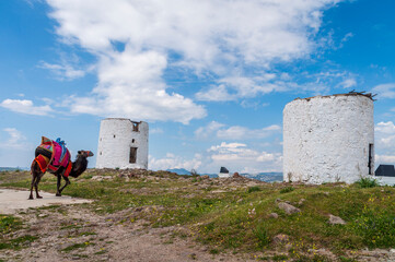 Aegean style old windmills in Bodrum Town of Turkey
