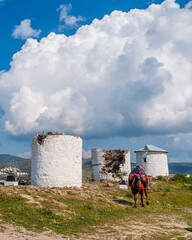 Aegean style old windmills in Bodrum Town of Turkey