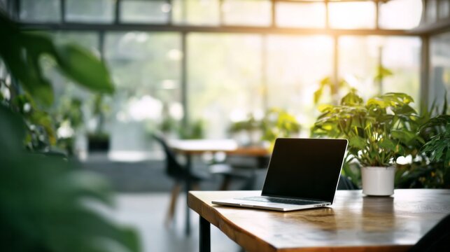 Laptop on wooden desk in a bright greenhouse style cafe or office space promoting remote work and natural light