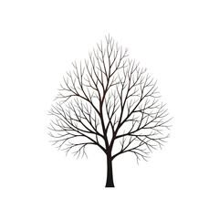 Obraz premium Bare Tree Silhouette Isolated on White Background