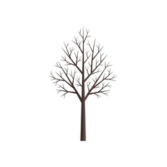 Fototapeta premium Bare Tree Silhouette Isolated on White Background - Winter Season