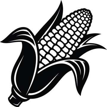 A striking black and white illustration showcases a single ear of corn with husk leaves emphasizing its natural form and texture
