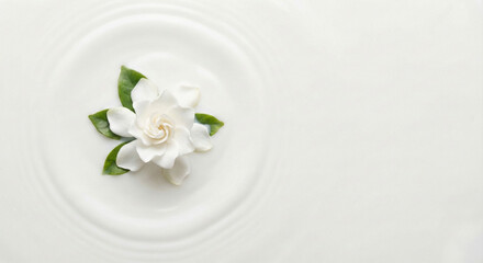 Serene white gardenia floating on rippled water surface peacefully