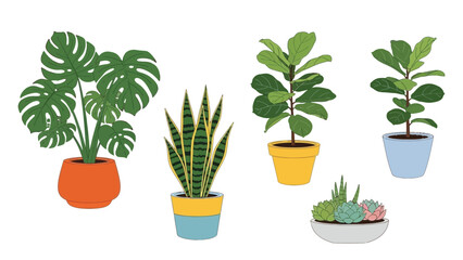 Fototapeta premium A charming collection of five popular potted house plants including a monstera deliciosa snake plant and succulents displayed in colorful containers illustration
