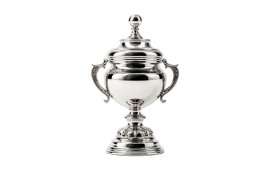 Elegant metallic trophy design symbolizing winning recognition excellence and professional accomplishment isolated on transparent background PNG