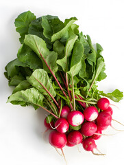 Bunch of fresh radishes with green leaves