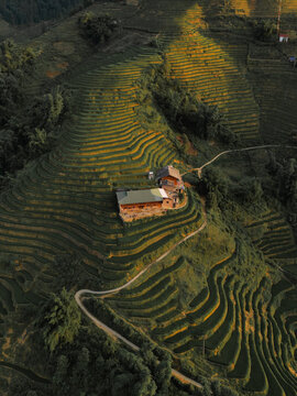Aerial view of terraced rice paddies cascade down the verdant hillsides, punctuated by a rustic wooden structure nestled amidst the vibrant landscape, Sa Pa, Lao Cai, Vietnam.