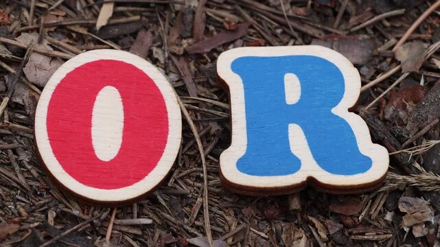 Wooden red 'O' and blue 'R' letters on forest ground. Ideal for educational materials, children's content, or creative textual displays.