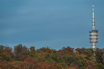 Fernmeldeturm im Wald