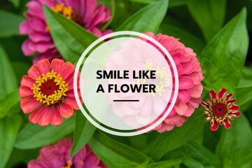 Smile like a flower with a flower background.
