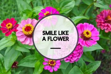 Smile like a flower with a flower background.
