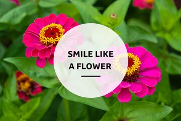 Smile like a flower with a flower background.