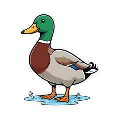 Obraz premium Duck Vector Illustration on White, Cute Water Bird