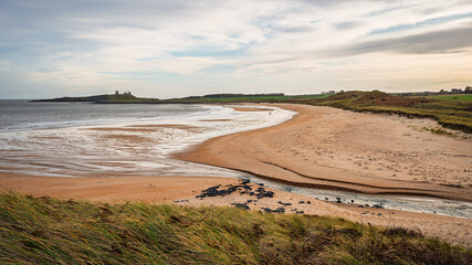 Mouth of Embleton Burn in Embleton Bay, which is a long stretch of sand overlooked by the dramatic ruins of Dunstanburgh Castle located on the North Sea coast in the National Landscape (AONB)