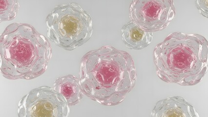 Close-up view of numerous translucent, irregular spherical cells with pink and yellow cores floating against a light background, resembling microscopic biological structures.