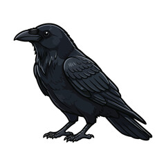 Fototapeta premium Crow Vector on White, Black Bird EPS Illustration