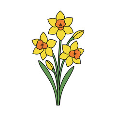 Daffodil Flowers Vector on White, Flat Color Botanical EPS Illustration