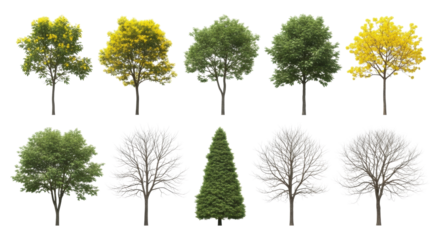 Ten diverse photorealistic tree specimens: five with vibrant yellow flowers, three with lush green foliage, two bare, meticulously isolated on a transparent background with soft studio lighting,