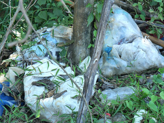 A pile of weathered, discarded wooden planks and debris lying on the ground among green grass.