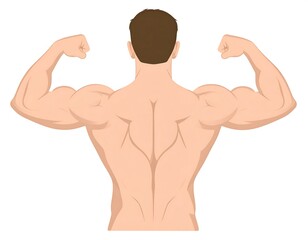 Fototapeta premium Muscular man from back view, flexing biceps, tan skin and brown hair, white backdrop