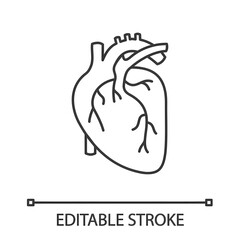 Obraz premium Human heart anatomy linear icon. Thin line illustration. Contour symbol. Vector isolated outline drawing. Editable stroke