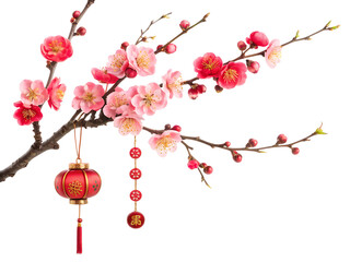 High-quality 8K illustrations and realistic images of Chinese and Vietnamese Lunar New Year decorations, toys, bonsai trees, lanterns and banh chung, isolated on white or transparent background, perfe
