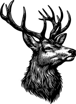 A black and white illustration of a deer head with antlers