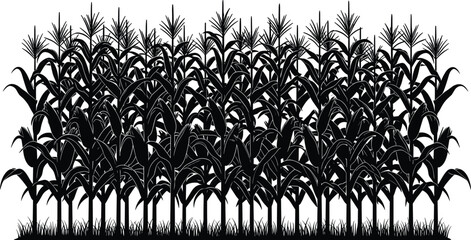 Fototapeta premium Black corn field silhouette with stalks and maize ears in farm row for agriculture design cad drawing flat vector illustration on white