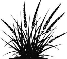 Fototapeta premium wheat plant silhouette with grains and long leaves isolated on white background