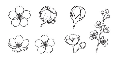 Collection of hand drawn cherry blossom flowers and buds