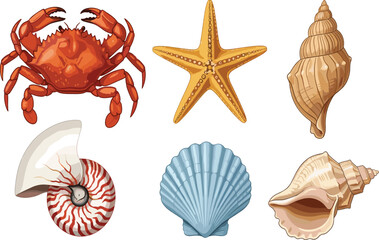 Obraz premium Seashells starfish and crab collection set in cad drawing flat vector illustration for ocean beach theme marine life design and coastal projects