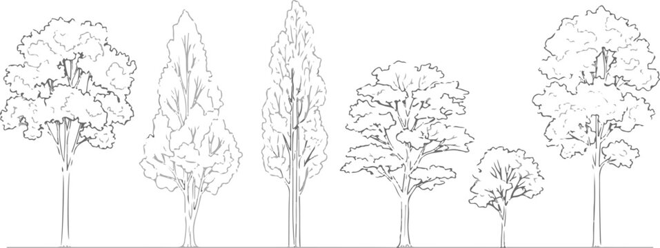 Set of 6 Outline Tree Vector Illustrations for Architectural Plans