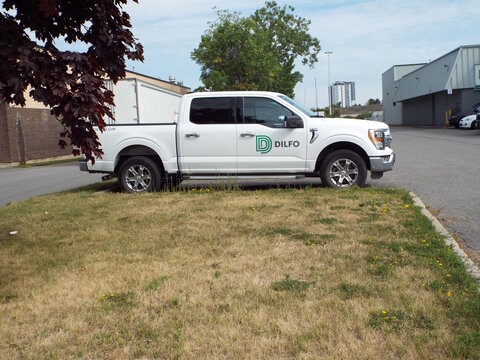Gloucester, ON, Canada-July 5,2025:A white Ford F-150 pickup truck with green "DILFO" branding sits parked on a dry grass patch on Cyrville Rd.
