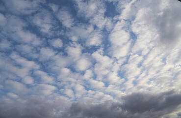 White cirrocumulus clouds form an orderly pattern in the blue sky, resembling a digital network.