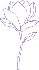 Beautiful magnolia flower on stem with leaves. Botanical natural ornamental garden plant concept. Simple linear outline vector illustration for decor, print, card