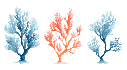 Three colorful coral illustrations on a black background, painted in watercolor style