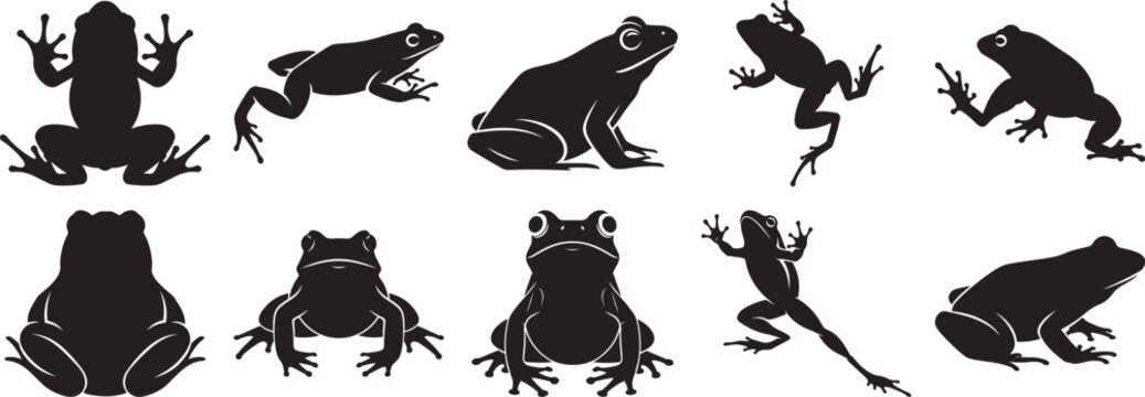 A compilation of ten different black silhouettes of frogs and toads in various poses