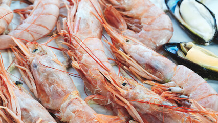 A bunch of shrimp is laid out on white ice in the market. The shrimp are pink and look fresh. Oysters and a lemon wedge are also on the table. The setting is appetizing and inviting.