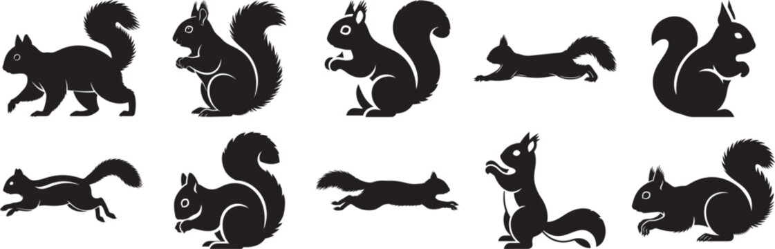 Diverse black squirrel silhouettes depicting various playful and active poses