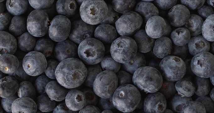 Fresh blueberries used as a spinning background texture. Blueberries are healthy fruits abundant in antioxidants.  Flat lay. 