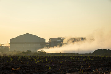Farmers cultivate crops in industrial areas, and there is morning fog.
